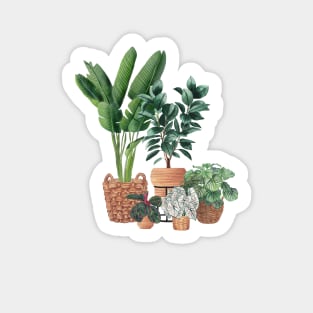 House Plants Illustration 12 Sticker